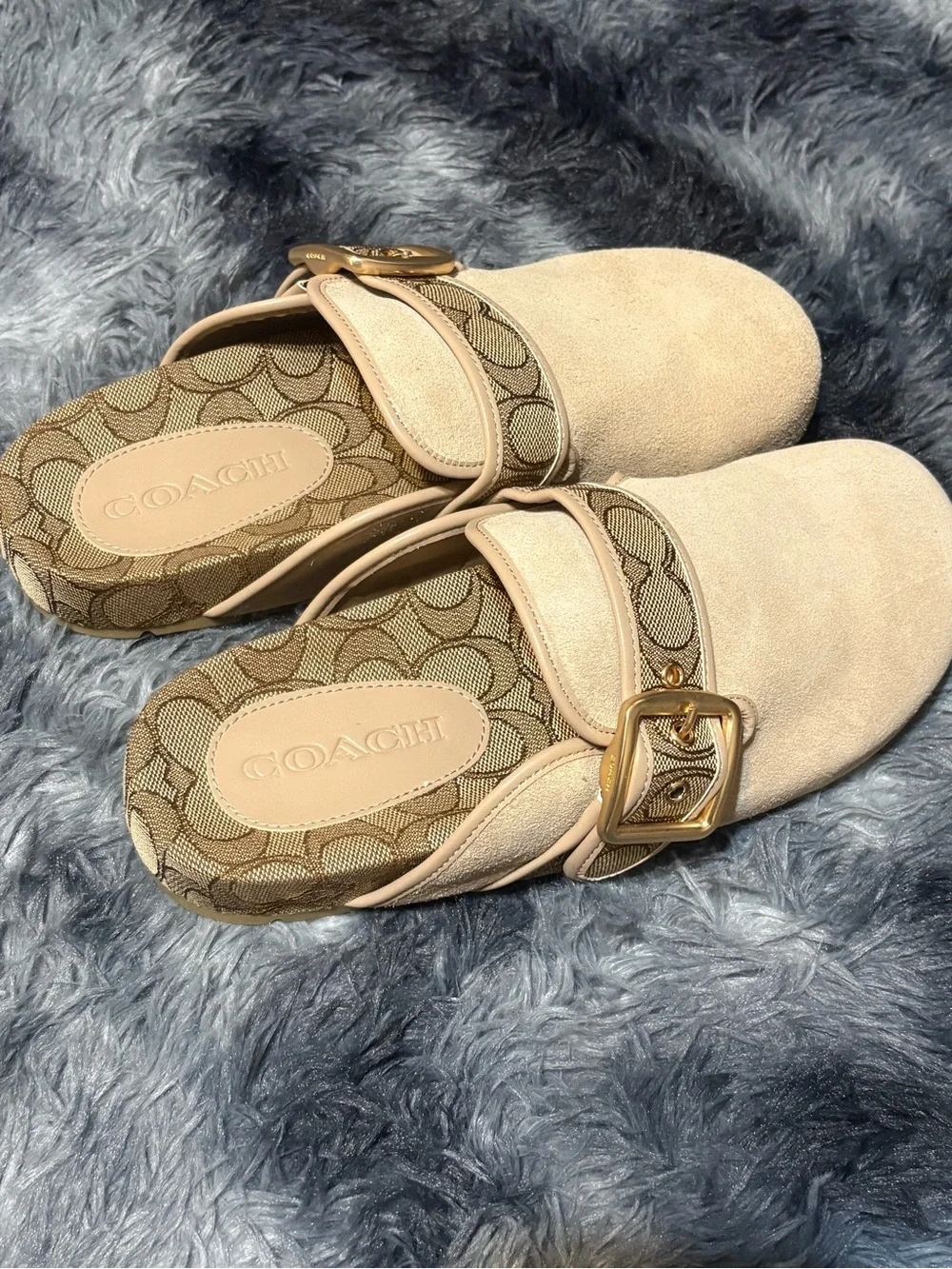 Archival Buckle Clog